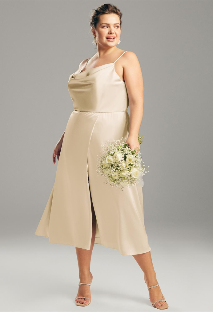 AW Renee Champagne  Plus Size Dresses
